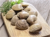 Littleneck Clams from our Online Fresh Shellfish Market