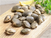 Manila Clams from our Fresh Shellfish Market