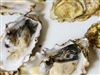 oyster of the month club 12 month