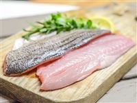 Colorado Catch Hybrid Striped Bass Fillet